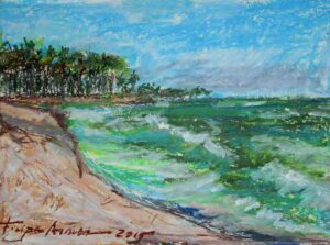 Estudo Praia do Paiva II