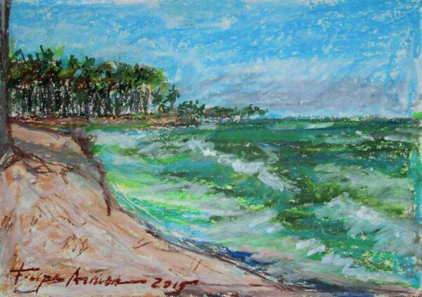 Estudo Praia do Paiva II