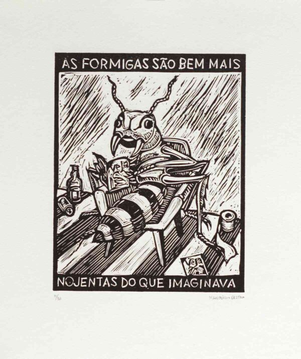 Velhas Formigas