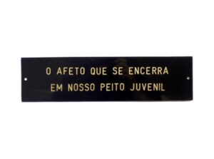 O afeto que se encerra em nosso peito juvenil