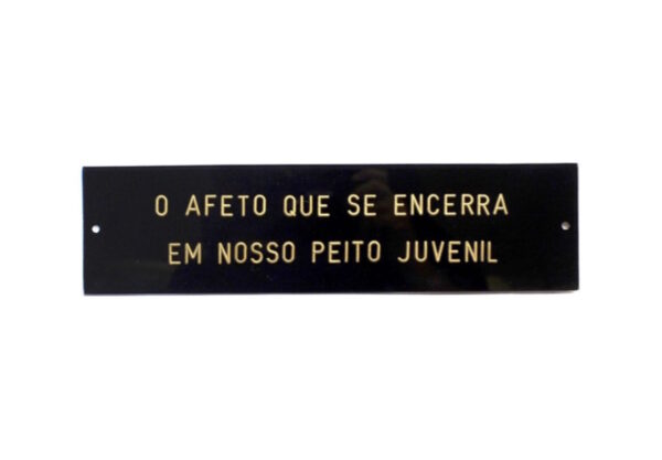 O afeto que se encerra em nosso peito juvenil