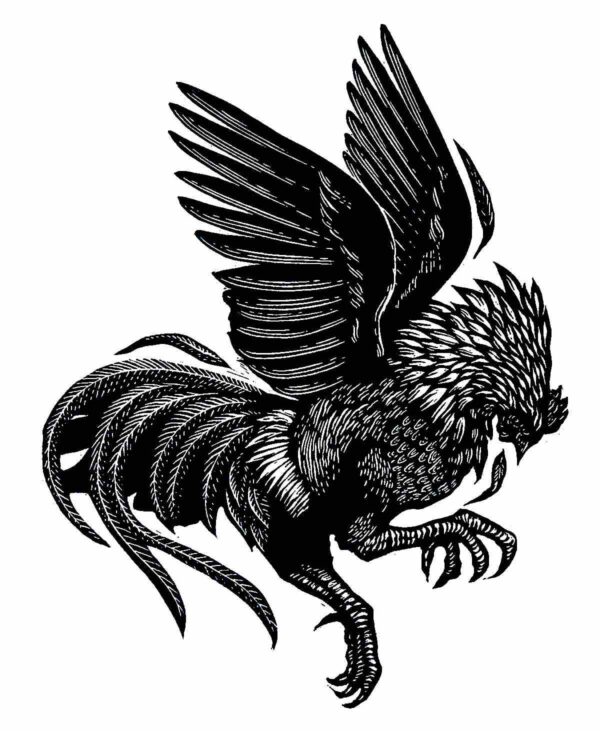 Rooster