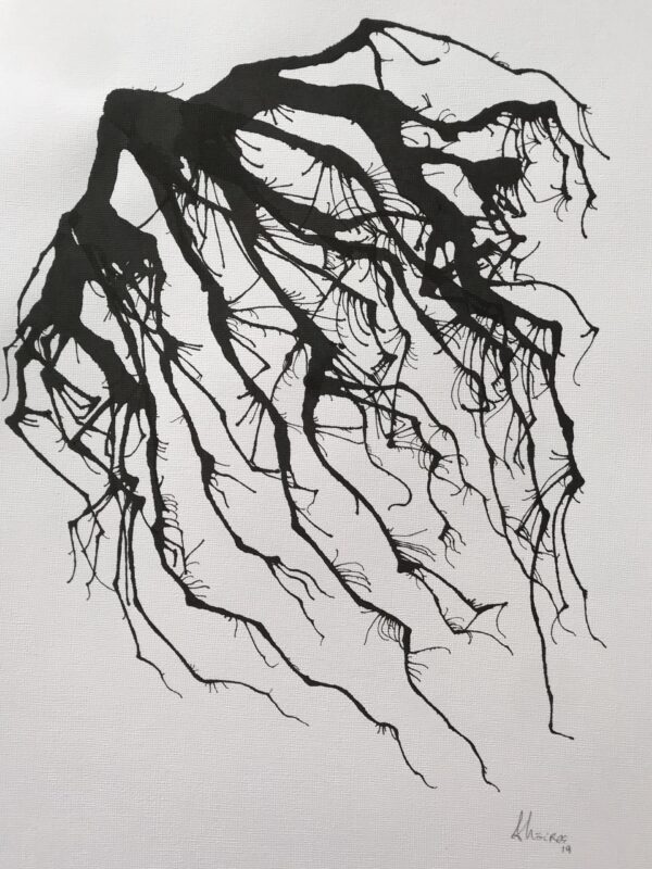 Drop series