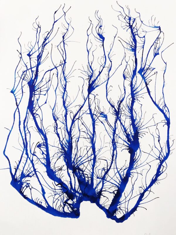 Drop series (A3)