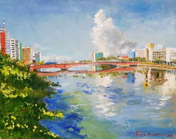 Vista da Ponte Duarte Coelho