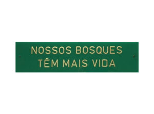 Nossos bosques tem mais vida