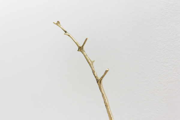 Nhee - Image 3
