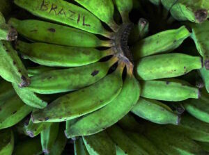 Brazil