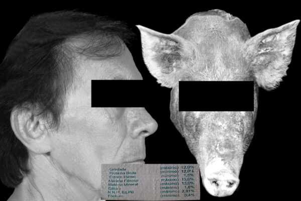 Fotografia V