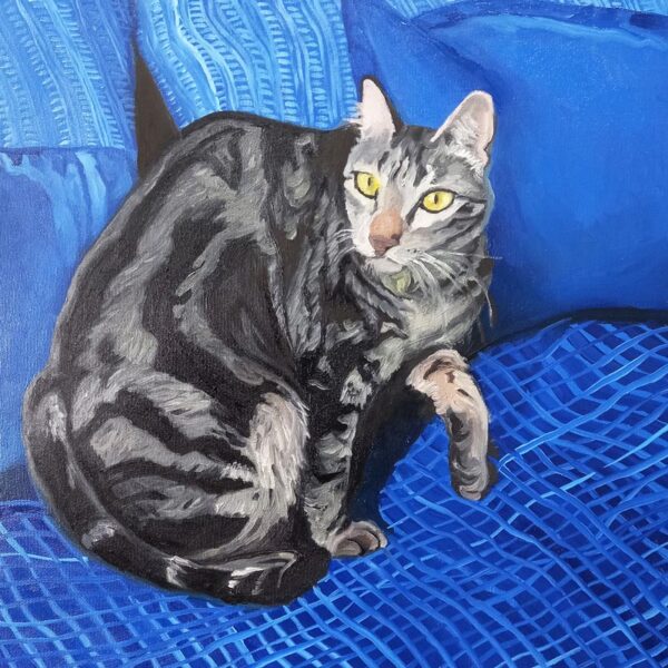Gato