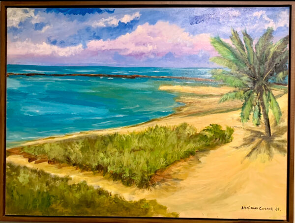 Praia dos Carneiros